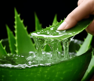 Aloevera Scrub